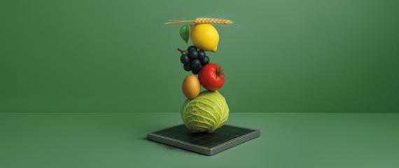 frutta e verdura in fila stile natura morta su sfondo verde | Crédit Agricole frutta e verdura in fila stile natura morta su sfondo verde | Crédit Agricole