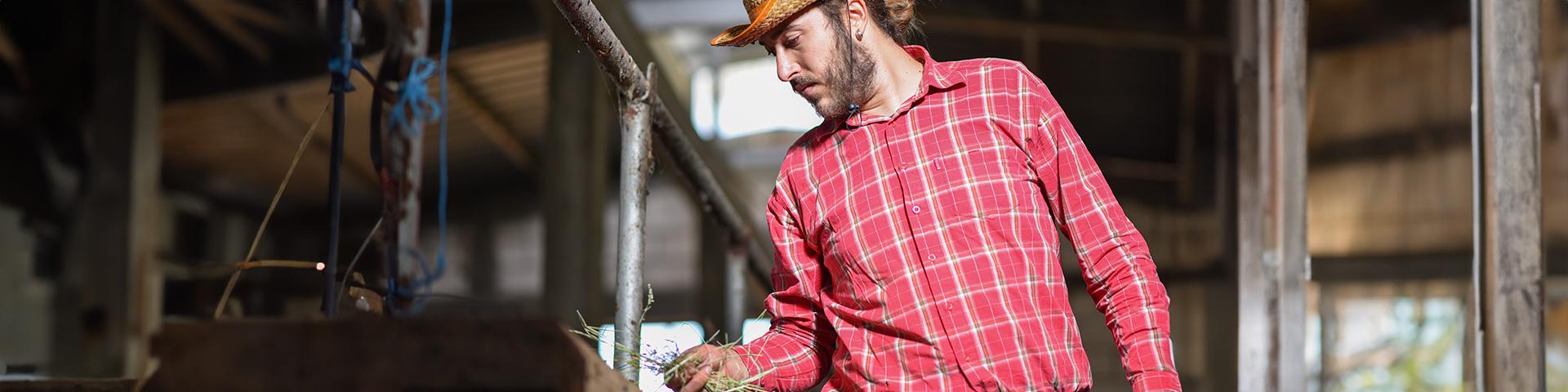 Zootecnia da carne, un’idea meravigliosa per uscire dalla crisi | Crédit Agricole Zootecnia da carne, un’idea meravigliosa per uscire dalla crisi | Crédit Agricole