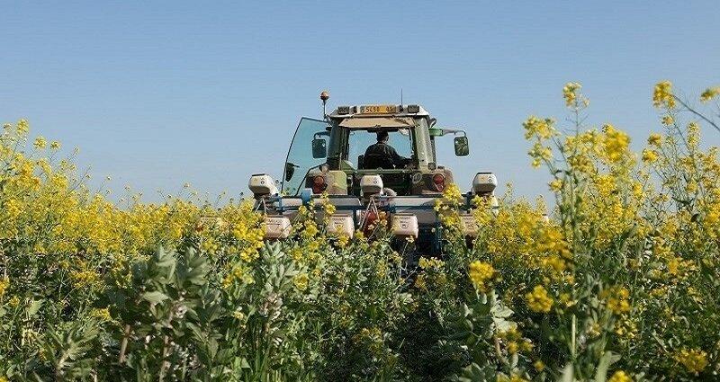 La valutazione del merito creditizio. | Crédit Agricole La valutazione del merito creditizio. | Crédit Agricole