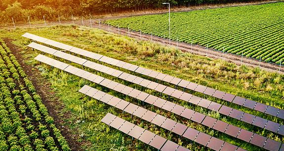 terrazzamento di pannelli fotovoltaici | Crédit Agricole terrazzamento di pannelli fotovoltaici | Crédit Agricole