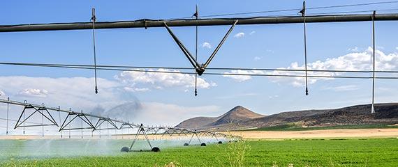 Irrigazione, la precisione è indispensabile | Crédit Agricole Irrigazione, la precisione è indispensabile | Crédit Agricole