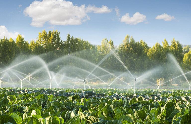 Irrigazione 4.0, innovazione per il futuro del pianeta | Crédit Agricole Irrigazione 4.0, innovazione per il futuro del pianeta | Crédit Agricole