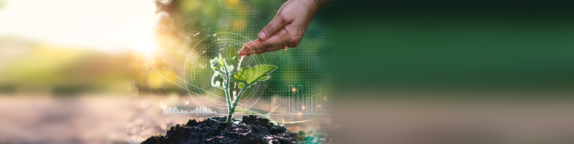 Finanziamento ESG Linked Loan | Crédit Agricole Finanziamento ESG Linked Loan | Crédit Agricole