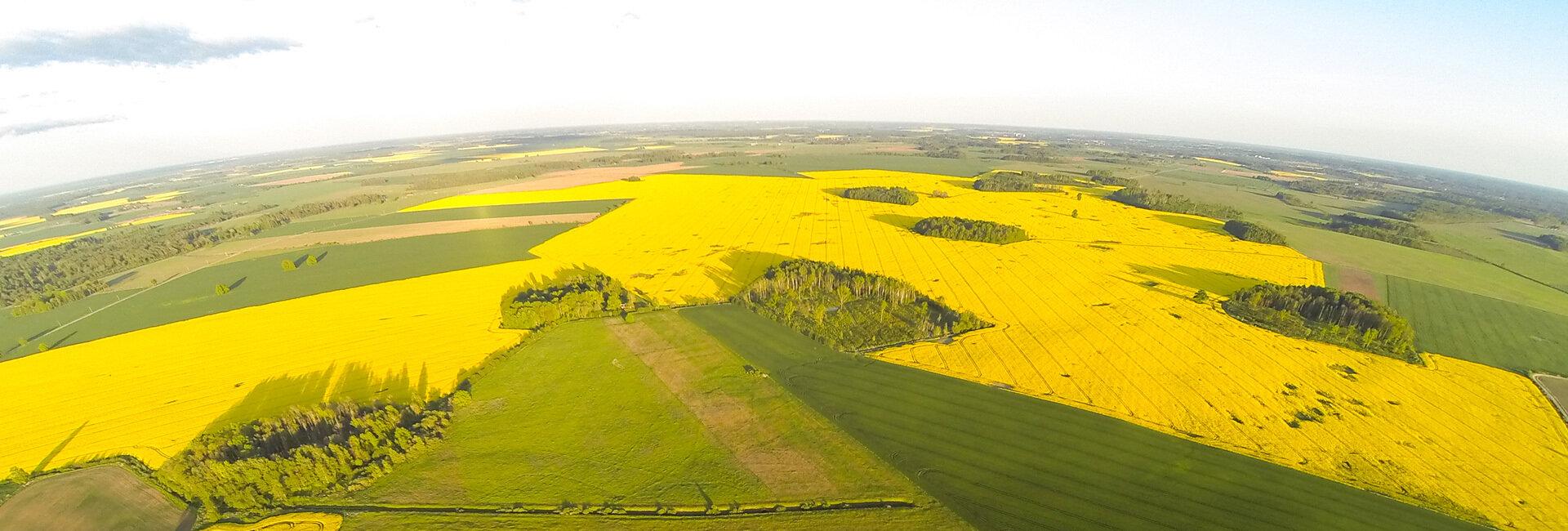 La sostenibilità in UE: il contributo del mondo agricolo | Crédit Agricole La sostenibilità in UE: il contributo del mondo agricolo | Crédit Agricole
