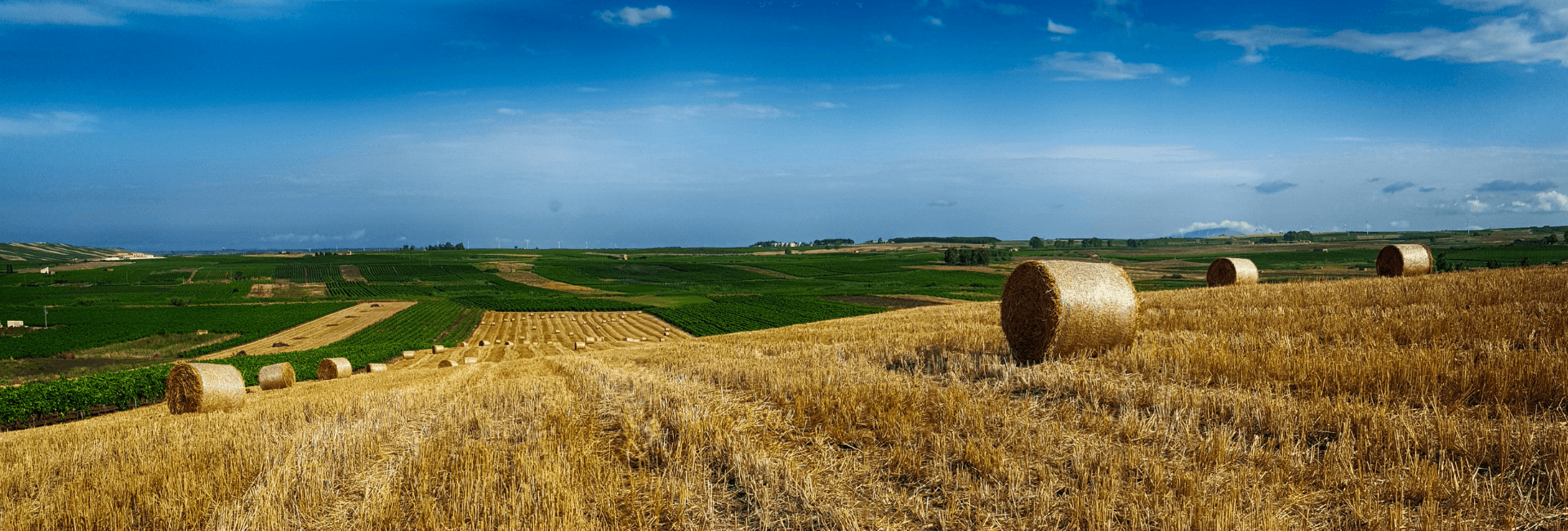 LA SOSTENIBILITÀ ECONOMICA DELL’AZIENDA AGRICOLA | Crédit Agricole LA SOSTENIBILITÀ ECONOMICA DELL’AZIENDA AGRICOLA | Crédit Agricole