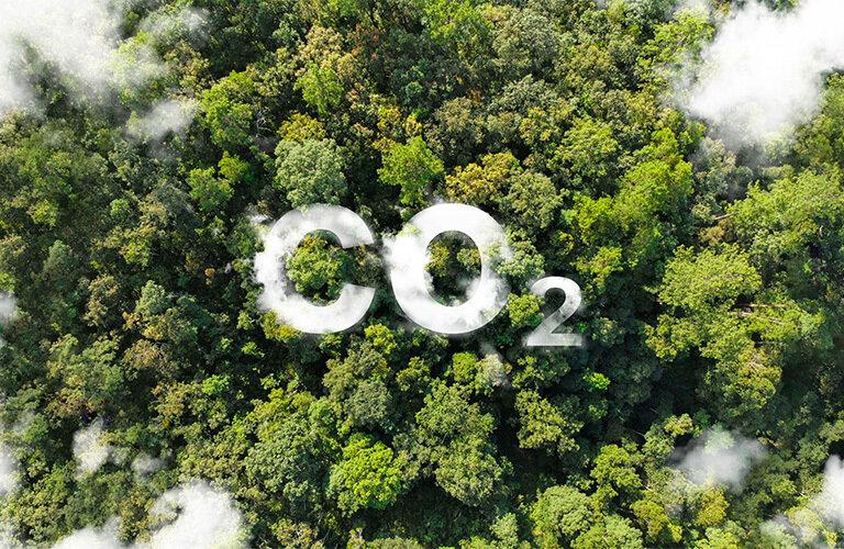 Carbon farming: azioni necessarie e la difficile partita degli incentivi | Crédit Agricole Carbon farming: azioni necessarie e la difficile partita degli incentivi | Crédit Agricole