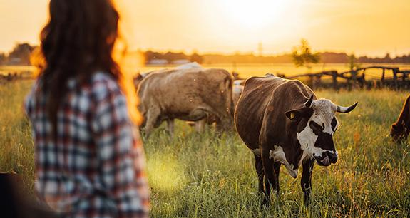 Come l’innovazione digitale sta cambiando il lavoro in stalla e al pascolo | Crédit Agricole Come l’innovazione digitale sta cambiando il lavoro in stalla e al pascolo | Crédit Agricole