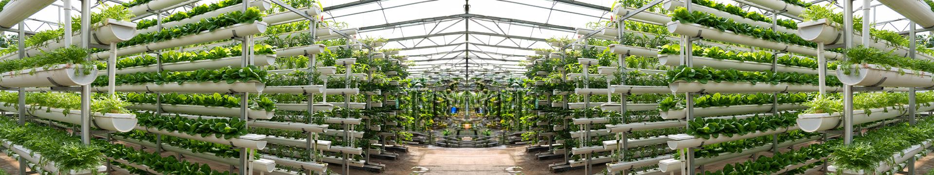 Il fisco si adegua all’agricoltura che cambia | Crédit Agricole Il fisco si adegua all’agricoltura che cambia | Crédit Agricole