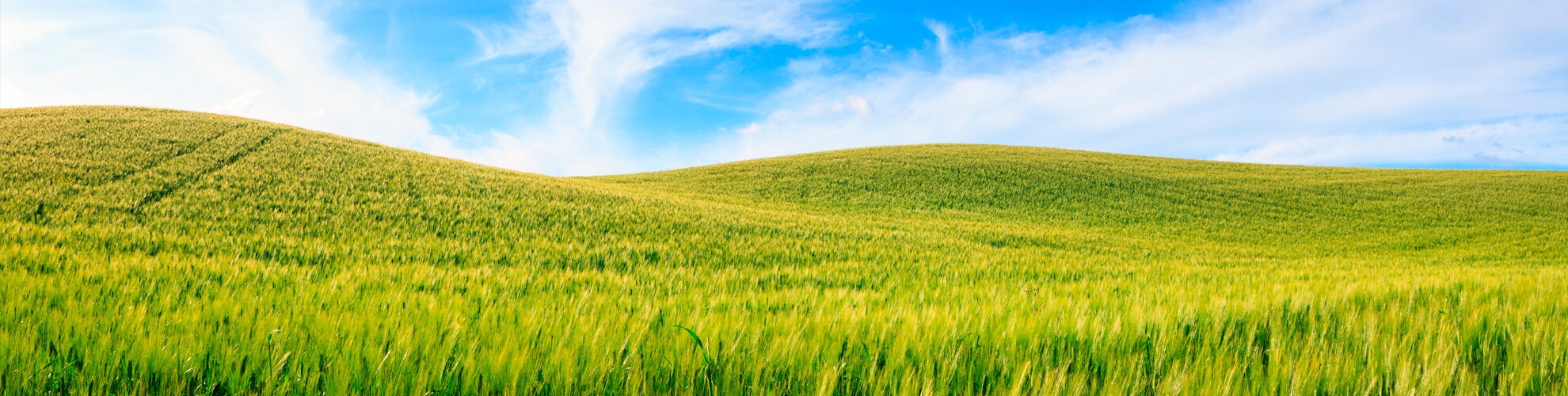 Confagricoltura | Crédit Agricole Confagricoltura | Crédit Agricole