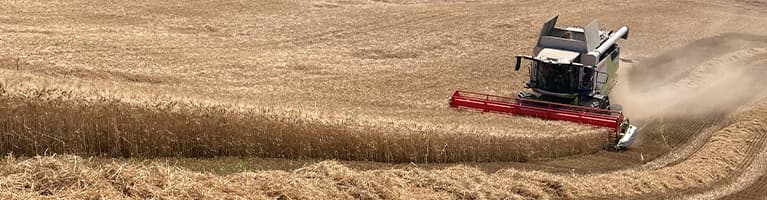 ColtivaItalia, oltre un miliardo per l'agricoltura italiana | Crédit Agricole ColtivaItalia, oltre un miliardo per l'agricoltura italiana | Crédit Agricole