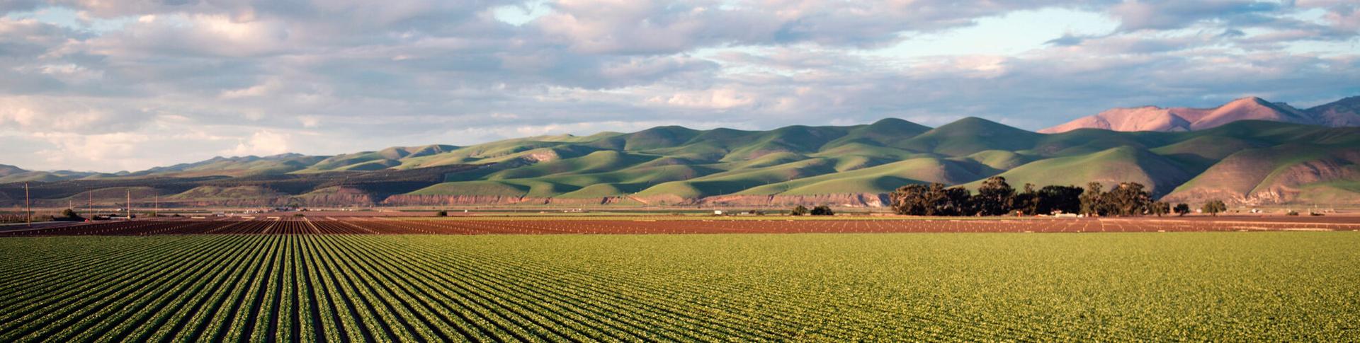 VINO VIP 2022 – 13° EDIZIONE - 10/11 LUGLIO 2022 - CORTINA D’AMPEZZO | Crédit Agricole VINO VIP 2022 – 13° EDIZIONE - 10/11 LUGLIO 2022 - CORTINA D’AMPEZZO | Crédit Agricole