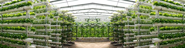 Il fisco si adegua all’agricoltura che cambia | Crédit Agricole Il fisco si adegua all’agricoltura che cambia | Crédit Agricole