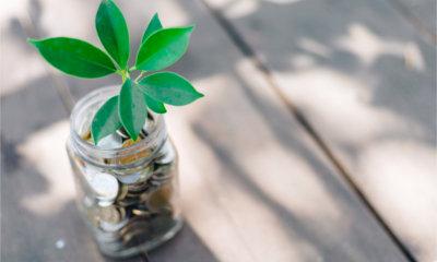 Sostenibilità: i 5 modi in cui ESG può creare valore per gli investimenti | Crédit Agricole Sostenibilità: i 5 modi in cui ESG può creare valore per gli investimenti | Crédit Agricole