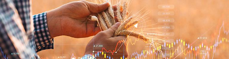 Italia prima in Europa per valore aggiunto agricolo | Crédit Agricole Italia prima in Europa per valore aggiunto agricolo | Crédit Agricole