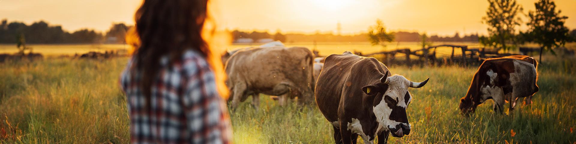 Come l’innovazione digitale sta cambiando il lavoro in stalla e al pascolo | Crédit Agricole Come l’innovazione digitale sta cambiando il lavoro in stalla e al pascolo | Crédit Agricole
