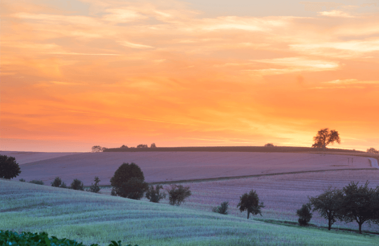 L’Agricoltura nella Legge di Bilancio 2023 | Crédit Agricole L’Agricoltura nella Legge di Bilancio 2023 | Crédit Agricole