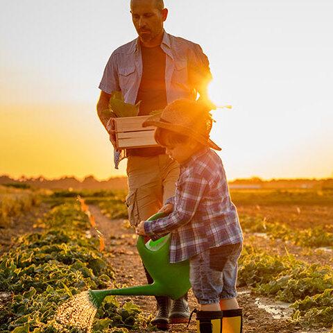 Anticipo Pegno Merci | Crédit Agricole