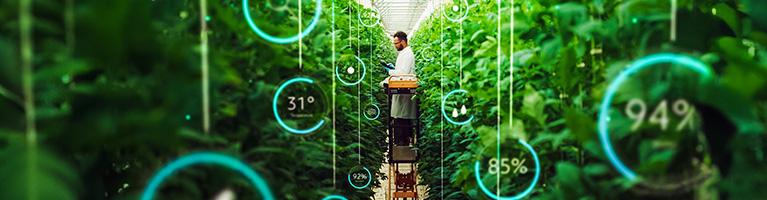 Nuovi strumenti per misurare la sostenibilità delle aziende agricole | Crédit Agricole Nuovi strumenti per misurare la sostenibilità delle aziende agricole | Crédit Agricole