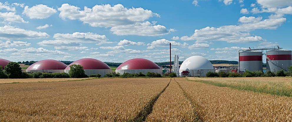 Bando pratiche ecologiche per biometano GSE | Crédit Agricole Bando pratiche ecologiche per biometano GSE | Crédit Agricole