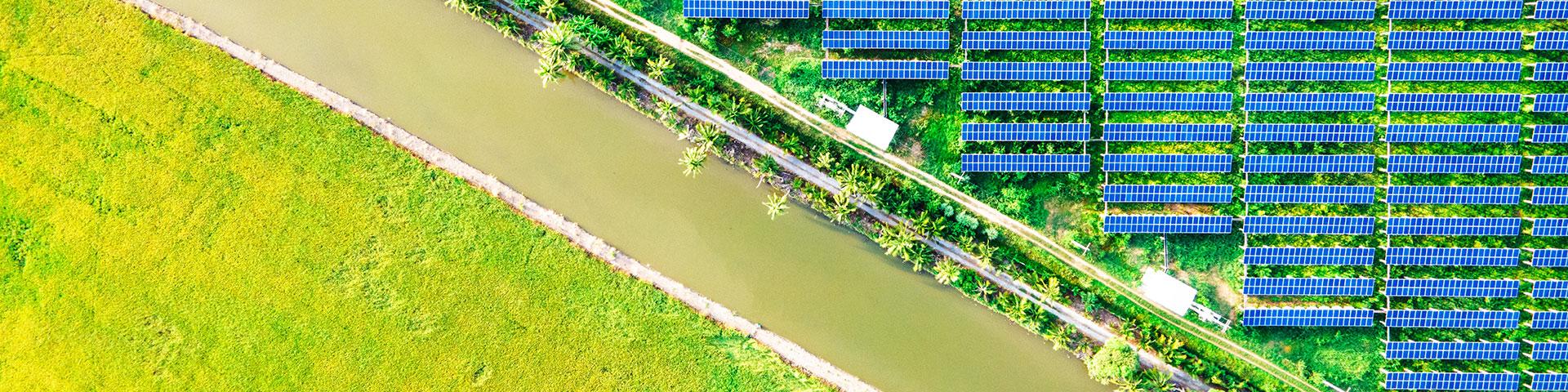 Agrivoltaico, ci sono ancora 323 milioni di incentivi | Crédit Agricole Agrivoltaico, ci sono ancora 323 milioni di incentivi | Crédit Agricole