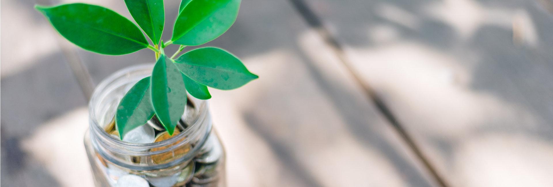 Sostenibilità: i 5 modi in cui ESG può creare valore per gli investimenti | Crédit Agricole Sostenibilità: i 5 modi in cui ESG può creare valore per gli investimenti | Crédit Agricole