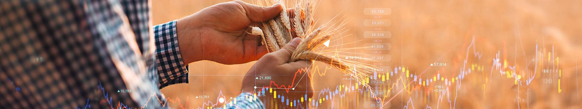 Italia prima in Europa per valore aggiunto agricolo | Crédit Agricole Italia prima in Europa per valore aggiunto agricolo | Crédit Agricole