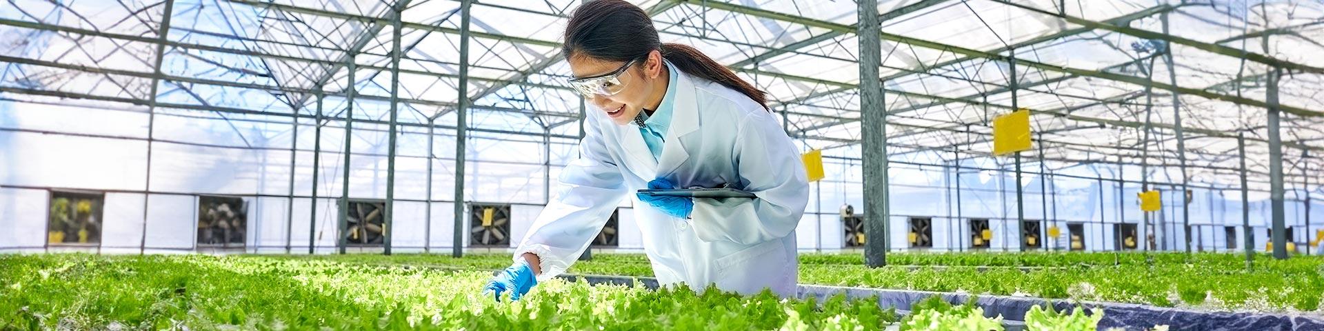 Fondo innovazione ISMEA dotazione 2025 | Crédit Agricole Fondo innovazione ISMEA dotazione 2025 | Crédit Agricole