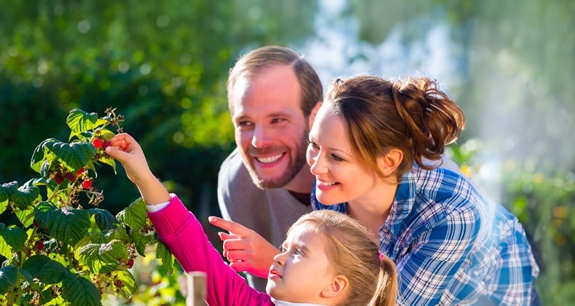 CA Vita Global Solution (Unit) | Crédit Agricole CA Vita Global Solution (Unit) | Crédit Agricole