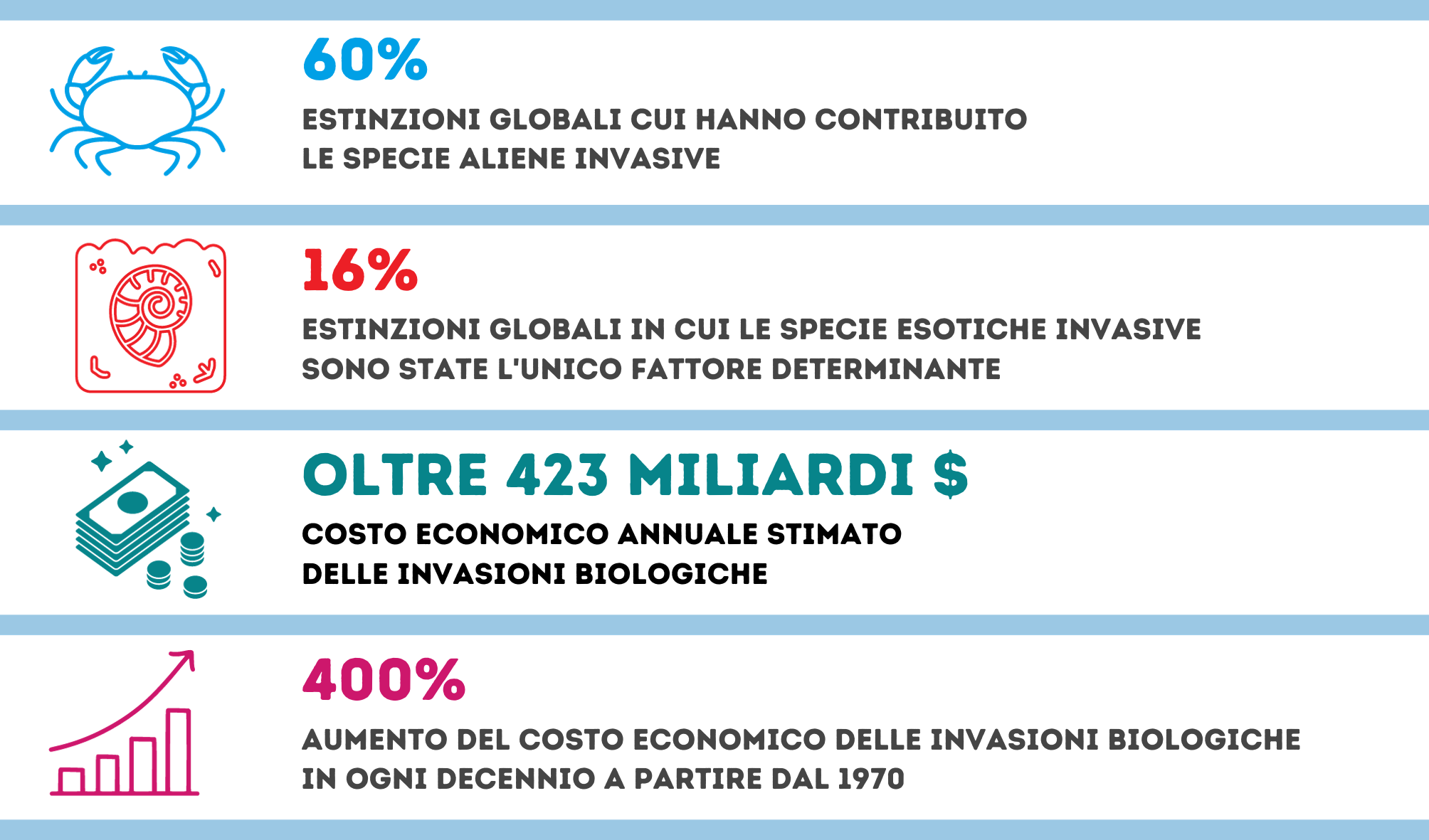 infografica granchio blu