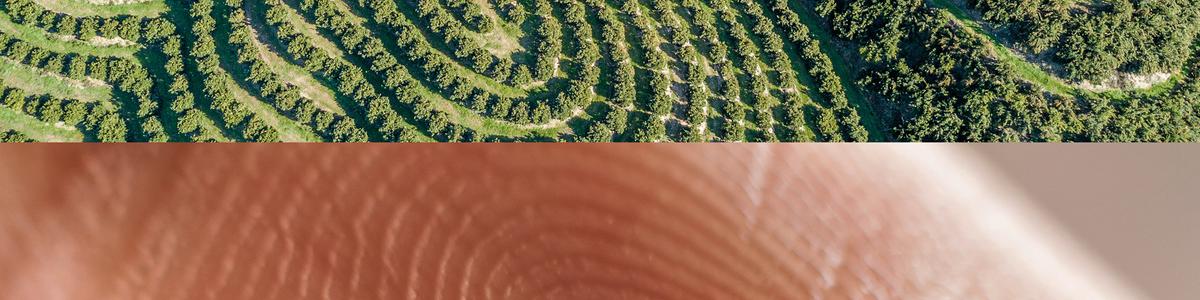 I finanziamenti per la transizione energetica e ESG | Crédit Agricole I finanziamenti per la transizione energetica e ESG | Crédit Agricole