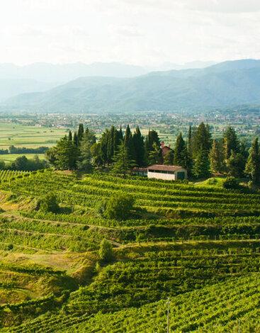 Legge Regionale FVG 80/82 | Crédit Agricole Legge Regionale FVG 80/82 | Crédit Agricole