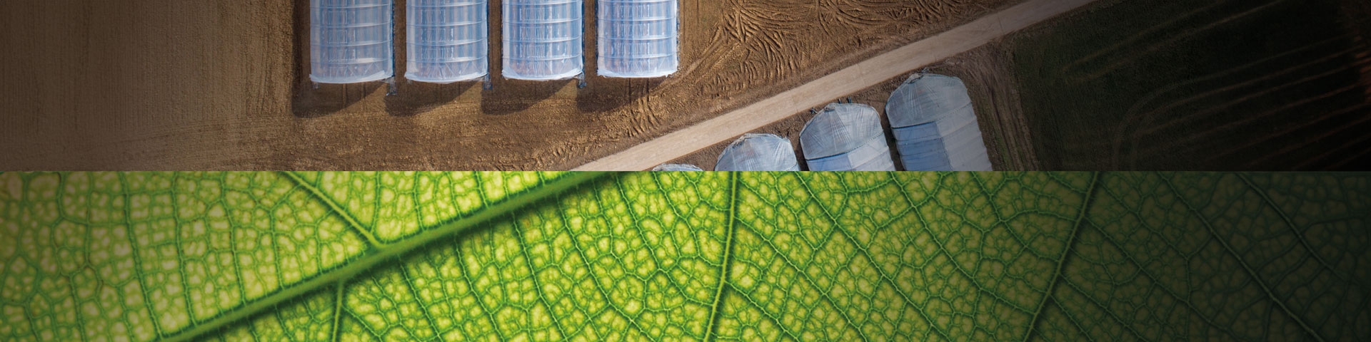 Agri Blu | Crédit Agricole Agri Blu | Crédit Agricole