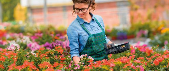 Filiera Vivaismo | Crédit Agricole Filiera Vivaismo | Crédit Agricole