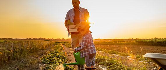 Anticipo Pegno Merci | Crédit Agricole Anticipo Pegno Merci | Crédit Agricole