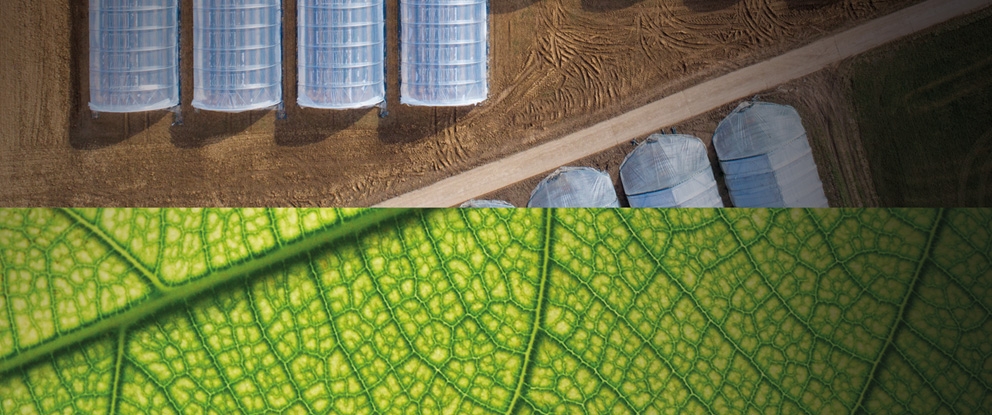 Agri Blu | Crédit Agricole Agri Blu | Crédit Agricole