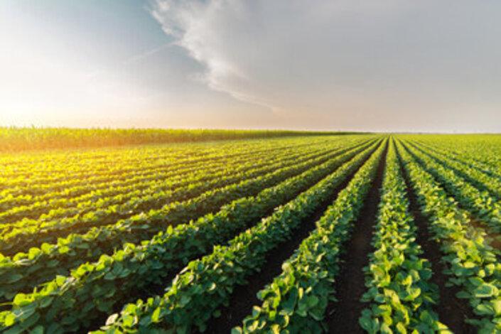 CIA | Crédit Agricole CIA | Crédit Agricole