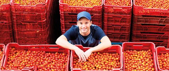 Filiera Ortofrutta | Crédit Agricole Filiera Ortofrutta | Crédit Agricole