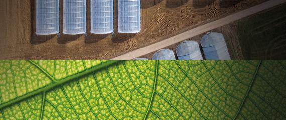 Agri Blu | Crédit Agricole Agri Blu | Crédit Agricole