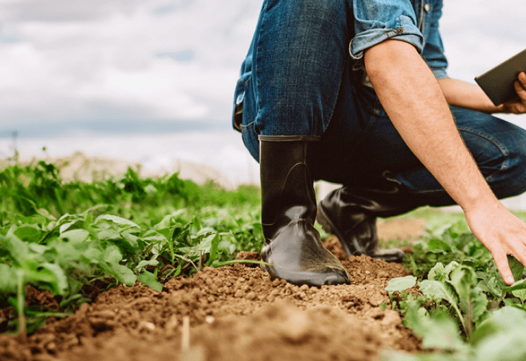 Agriadvisor Lite | Crédit Agricole Agriadvisor Lite | Crédit Agricole