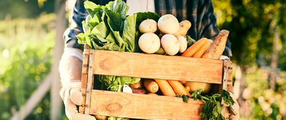 Agricoltura Biologica | Crédit Agricole Agricoltura Biologica | Crédit Agricole