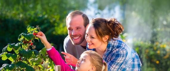 CA Vita Global Solution (Unit) | Crédit Agricole CA Vita Global Solution (Unit) | Crédit Agricole