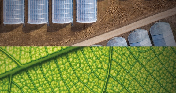 Agri Blu | Crédit Agricole Agri Blu | Crédit Agricole