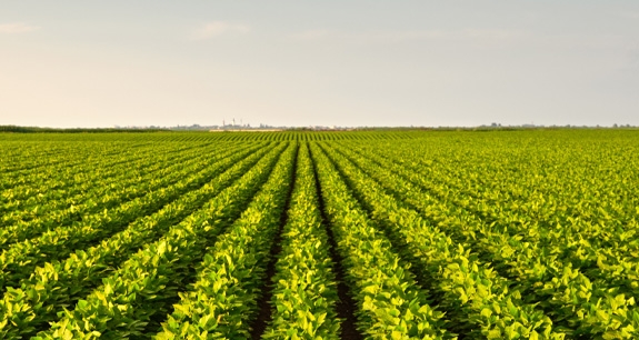 Cambiali Agrarie | Crédit Agricole Cambiali Agrarie | Crédit Agricole