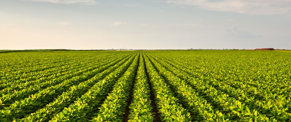 Cambiali Agrarie | Crédit Agricole Cambiali Agrarie | Crédit Agricole