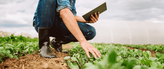 Agriadvisor Lite | Crédit Agricole Agriadvisor Lite | Crédit Agricole
