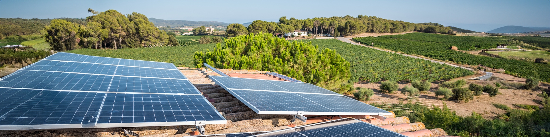 PNRR - PARCO AGRISOLARE - 3° BANDO | Crédit Agricole PNRR - PARCO AGRISOLARE - 3° BANDO | Crédit Agricole