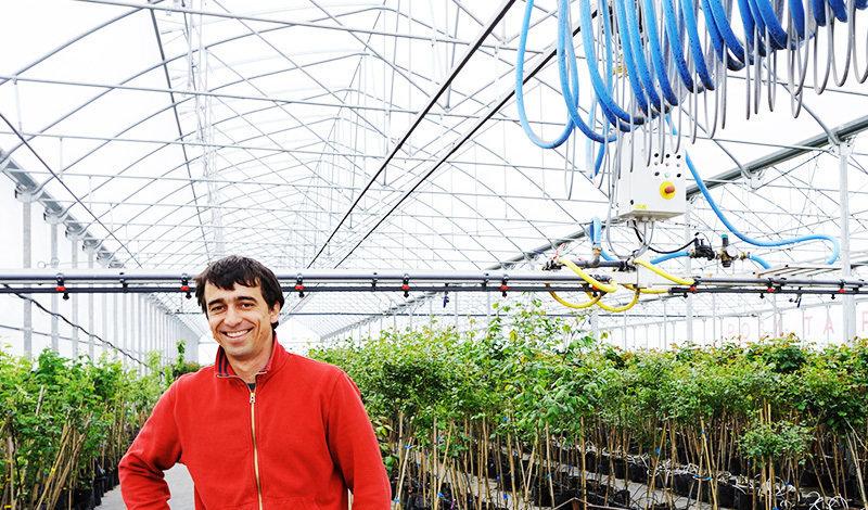 Prestiti agrari di produzione e gestione | Crédit Agricole Prestiti agrari di produzione e gestione | Crédit Agricole