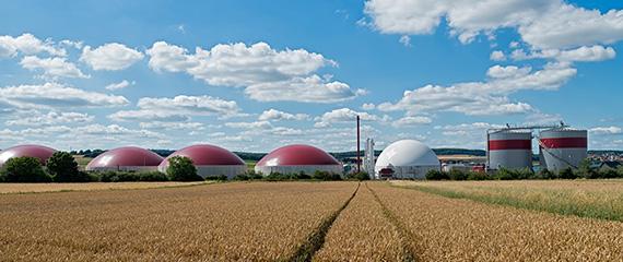 Bando pratiche ecologiche per biometano GSE | Crédit Agricole Bando pratiche ecologiche per biometano GSE | Crédit Agricole